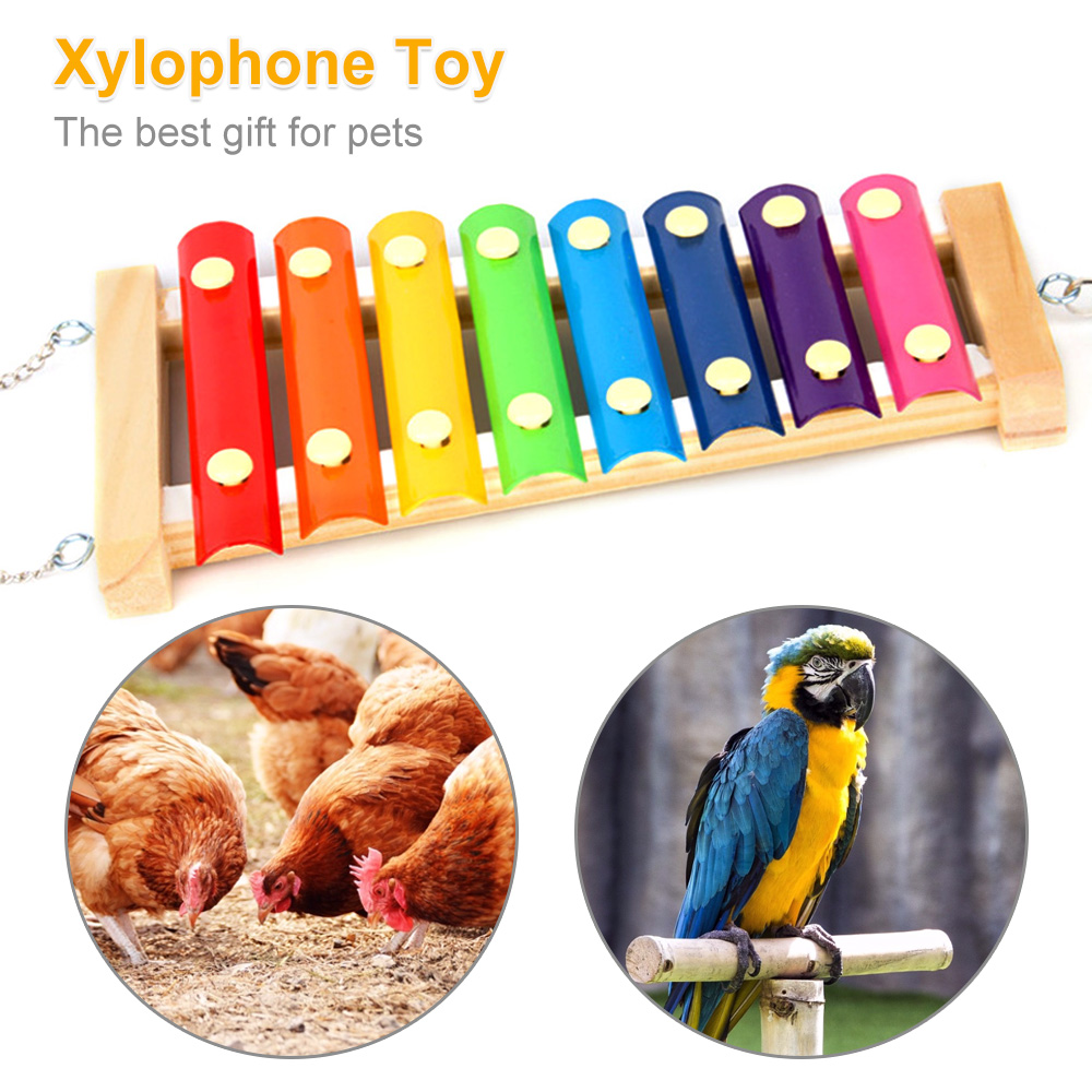 Bird Chicken Xylophone Toy Woo - Musical Instrument Harmonium ulasan dan harga